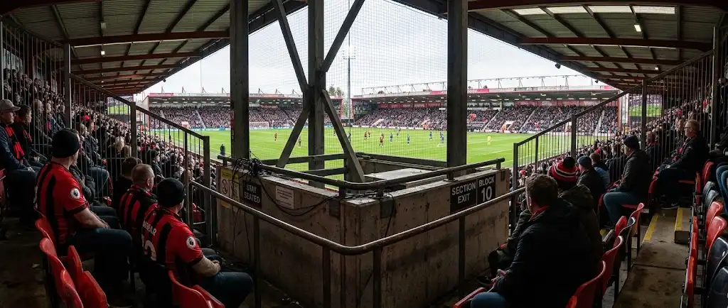 Værste pladser på Vitality Stadium background image